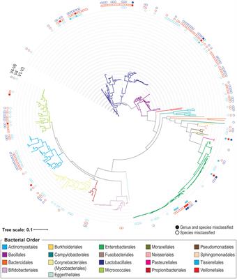Cataloging variation in 16S rRNA gene sequences of female urobiome bacteria